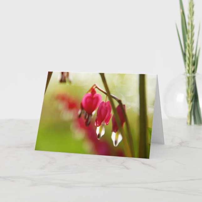 Carte de vœux vierge avec photo de Bleeding Hearts (Devant)