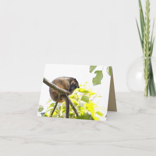 Carte de voeux vierge avec Tree Kangaroo (Devant)