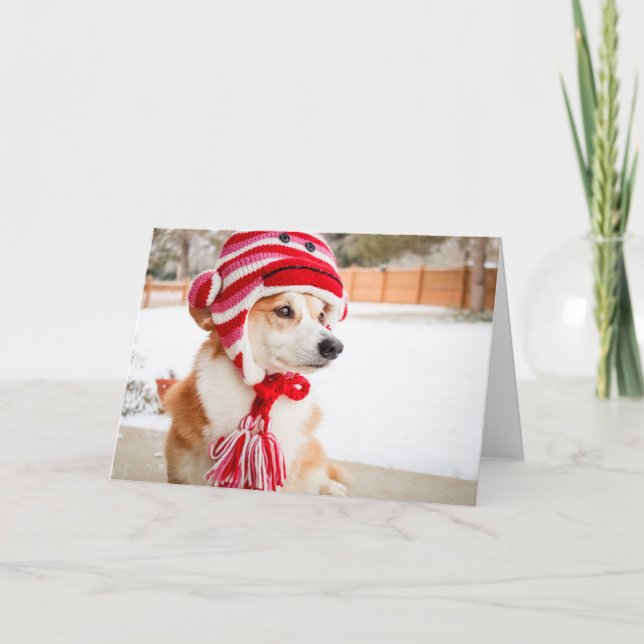 Carte de vœux vierge Chien Corgi avec singe en cha (Devant)