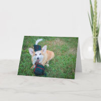 Carte de vœux vierge Corgi à cornemuse