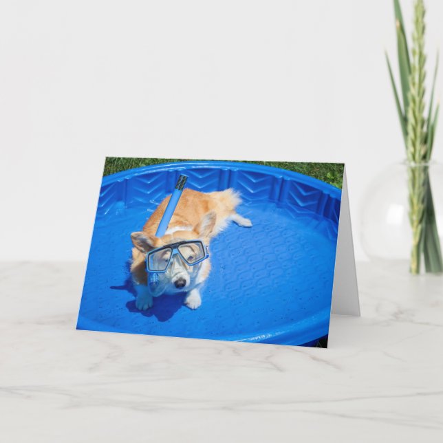 Carte de vœux vierge Corgi en snorkeling (Devant)