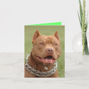 Carte de vœux vierge de chiot Pitbull