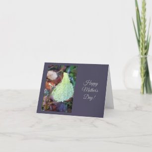 Carte de vœux vierge de la fête des mères avec gel