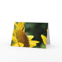 Carte de voeux vierge de tournesol