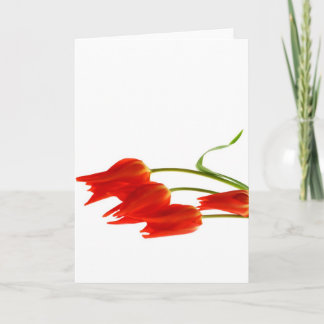 Carte de voeux vierge de tulipes