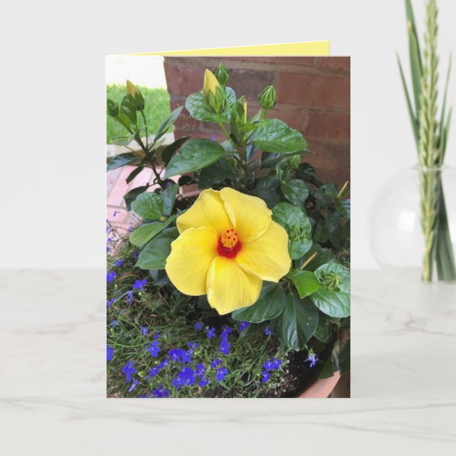 Carte de vœux vierge "Photo florale" (Devant)