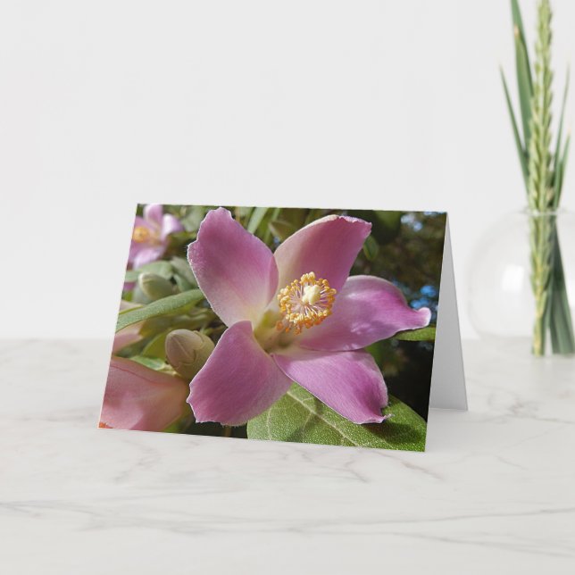 Carte de voeux vierge - Pyramide Arbre Flower (Devant)