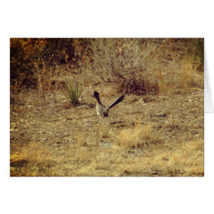 Carte de vœux vierge Roadrunner + Enveloppe blanch