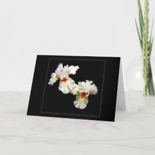 Carte de voeux vierge 'Ruffles'