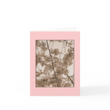 Carte de vœux vierge teintée 'Fleurs de cerisier'
