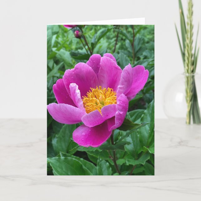 Carte de vœux vierge Tree Peony (Devant)