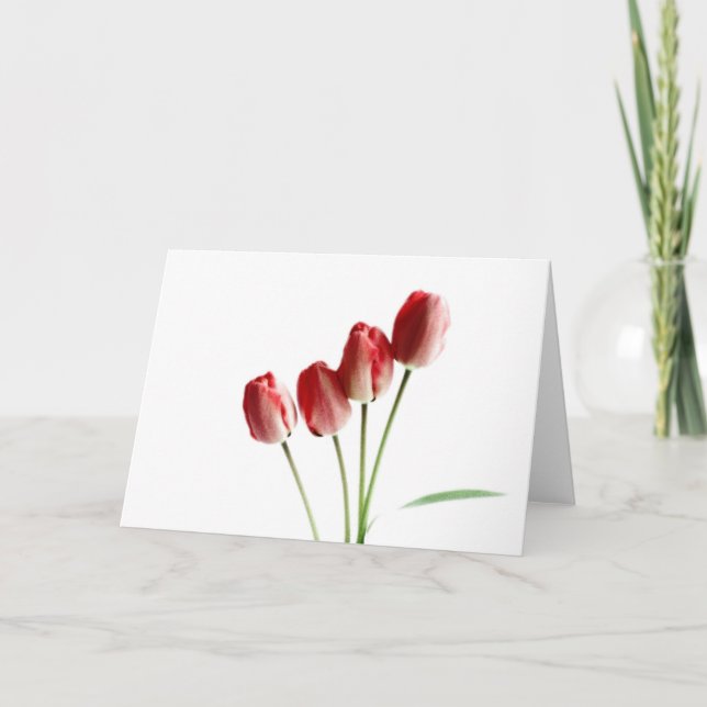 Carte de voeux vierge tulipes rouges (Devant)