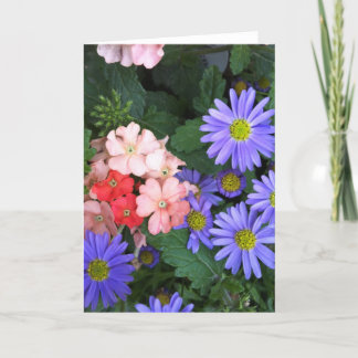 Carte de voeux violet, bleu, rose et fleurs de cor