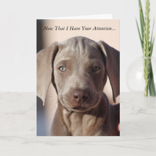 Carte de voeux Weimaraner "You Are The Best"