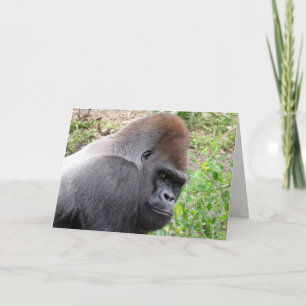 Carte de voeux Western Lowland Gorilla