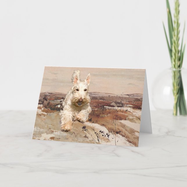 Carte de voeux Wheaten Scottish Terrier (Devant)