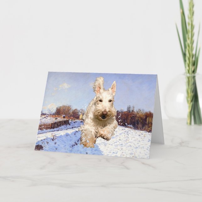 Carte de voeux Wheaten Scottish Terrier (Devant)