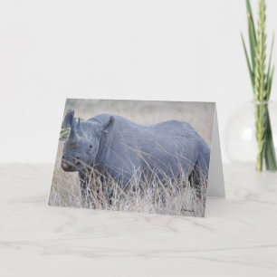 Carte de voeux White Rhino