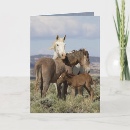 Carte de voeux Wild Family Wild Horse
