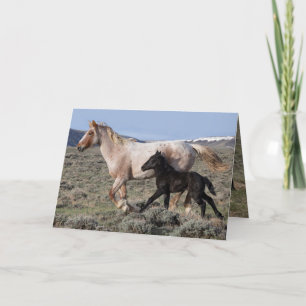 Carte de voeux Wild Horse - Wild Mare et Foot Run