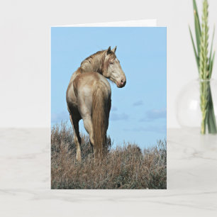 Carte de voeux Wild Oregon Mustang Stallion
