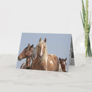 Carte de voeux Wild Palomino Pinto Wild Horse