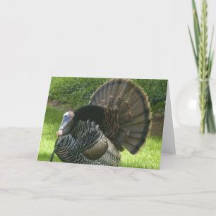Carte de voeux Wild Turkey