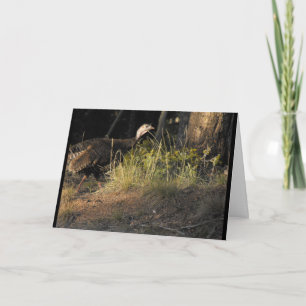 Carte de voeux Wild Turkey