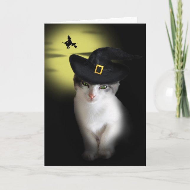 Carte de voeux Witch Kitten (Devant)