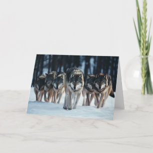 Carte de voeux Wolf Pack