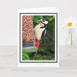 Carte de voeux Woodpecker