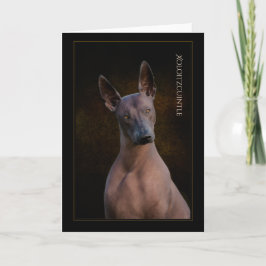 Carte de voeux Xoloitzcuintli