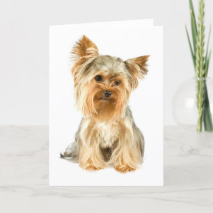 Carte de voeux Yorkie Puppy