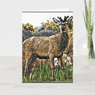 Carte de voeux Young Red Deer