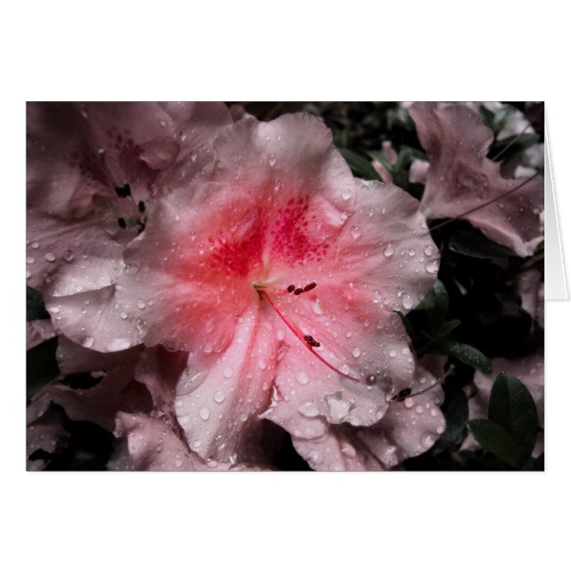 Carte de voyant interne (Devant horizontal)