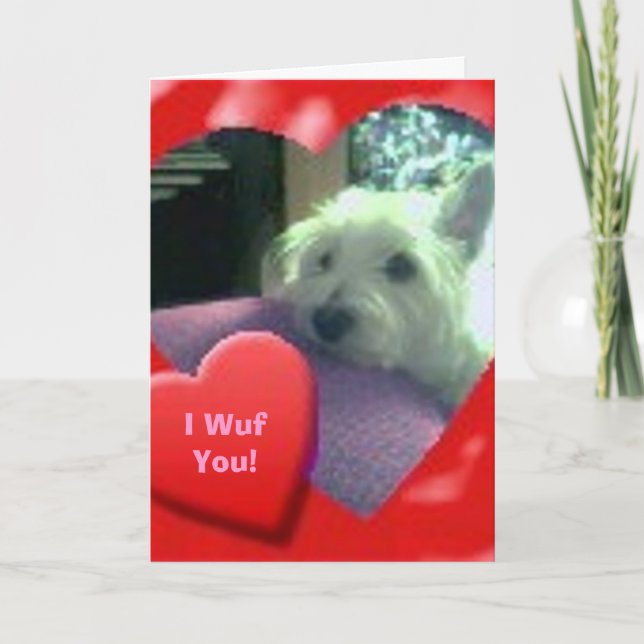 Carte de Westie du Jour des Valentines (Devant)