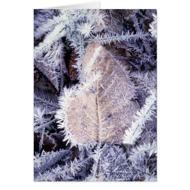 Carte de Winterscapes (Devant)
