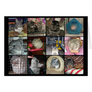 Carte de Wunderchins 2012