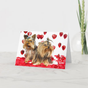Carte de Yorkie Valentine