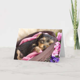 Carte de Yorkie Valentine