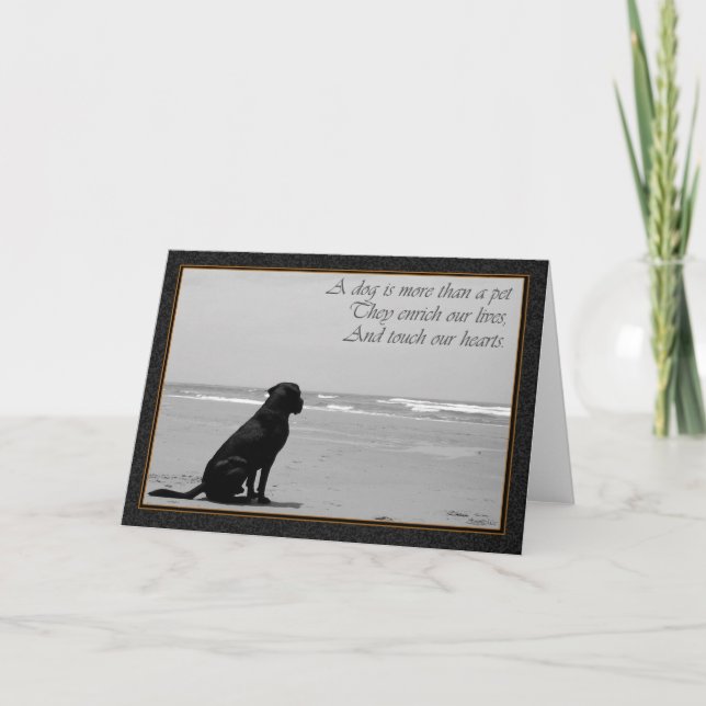 Carte Death of a pet, dog death, sad, dog looking out (Devant)