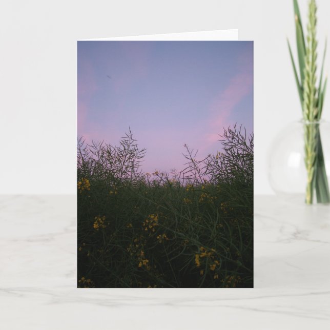 Carte début de soirée parmi le feuillage (Devant)