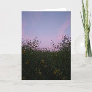 Carte début de soirée parmi le feuillage