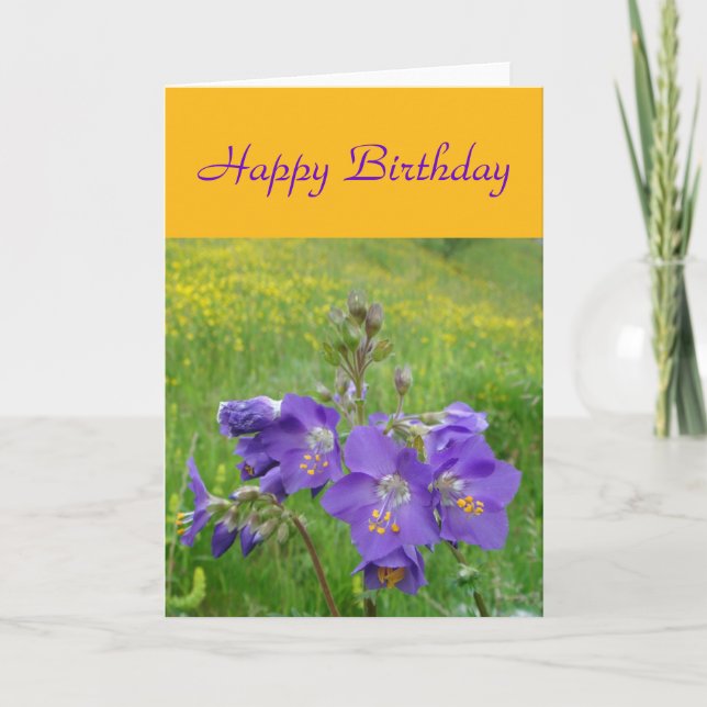 Carte d'échelle de Jacob (Devant)