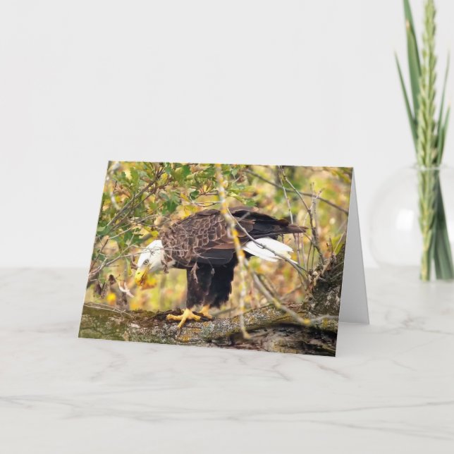 Carte Decorah North Eagles : La lune de récolte (Devant)