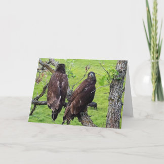 Carte Decorah North Eagles : La Lune des fraises