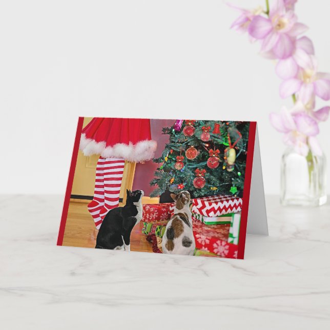 Carte Décoration de l'arbre (Orchidée)