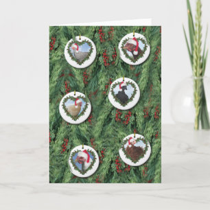 Carte Décorations de poulet de Noël sur l'arbre
