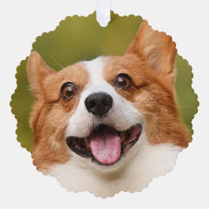 Carte Décorative Ajouter photo de chien personnalisé Customisé
