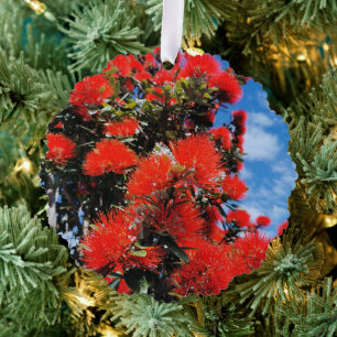 Carte Décorative Arbre de Noël néo-zélandais